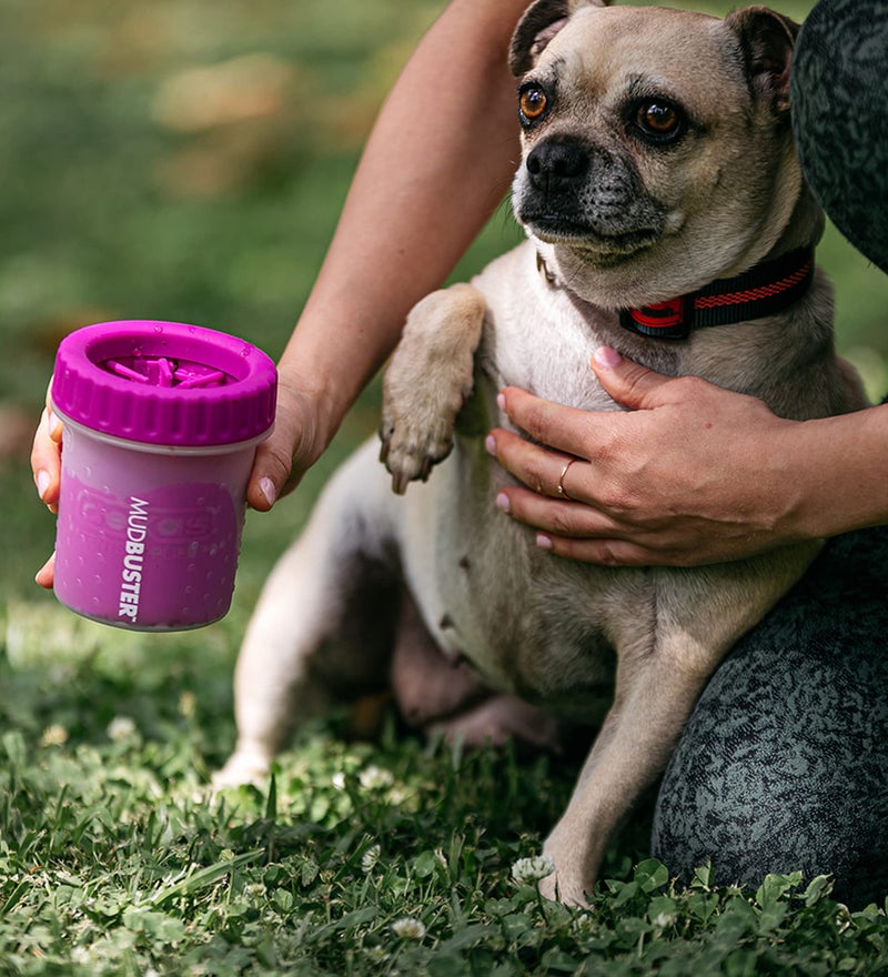 Dexas MudBuster Portable Dog Paw Cleaner, Small, Fuchsia - Premium Quality Pet Accessory - Image 3